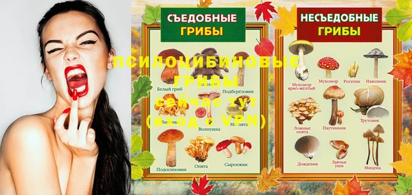МДПВ Заволжье