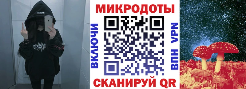 Купить закладки  Ессентукская  Галлюциногенные грибы Psilocybine cubensis 