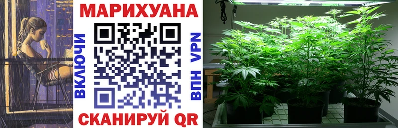 Купить  Ессентукская  МАРИХУАНА SATIVA & INDICA 